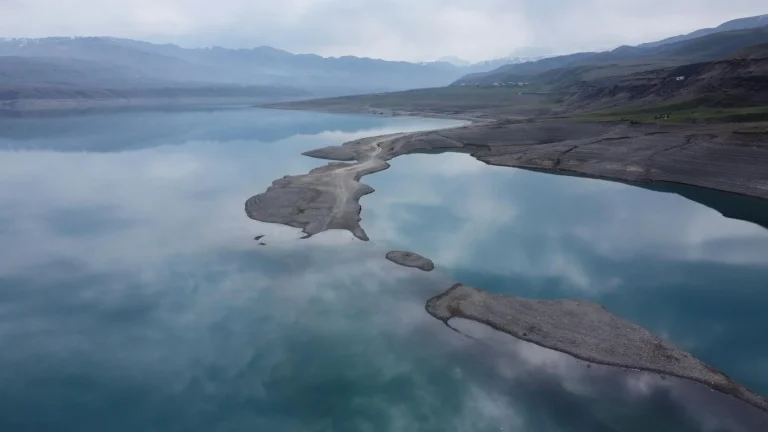 Mengapa Memilih Bunga Papan Di Bekasi?